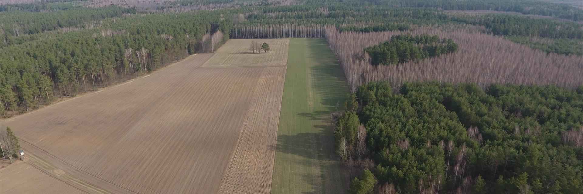 Duża działka rolna w Wilamowie, Mazury Szczytno - zdjęcie 4