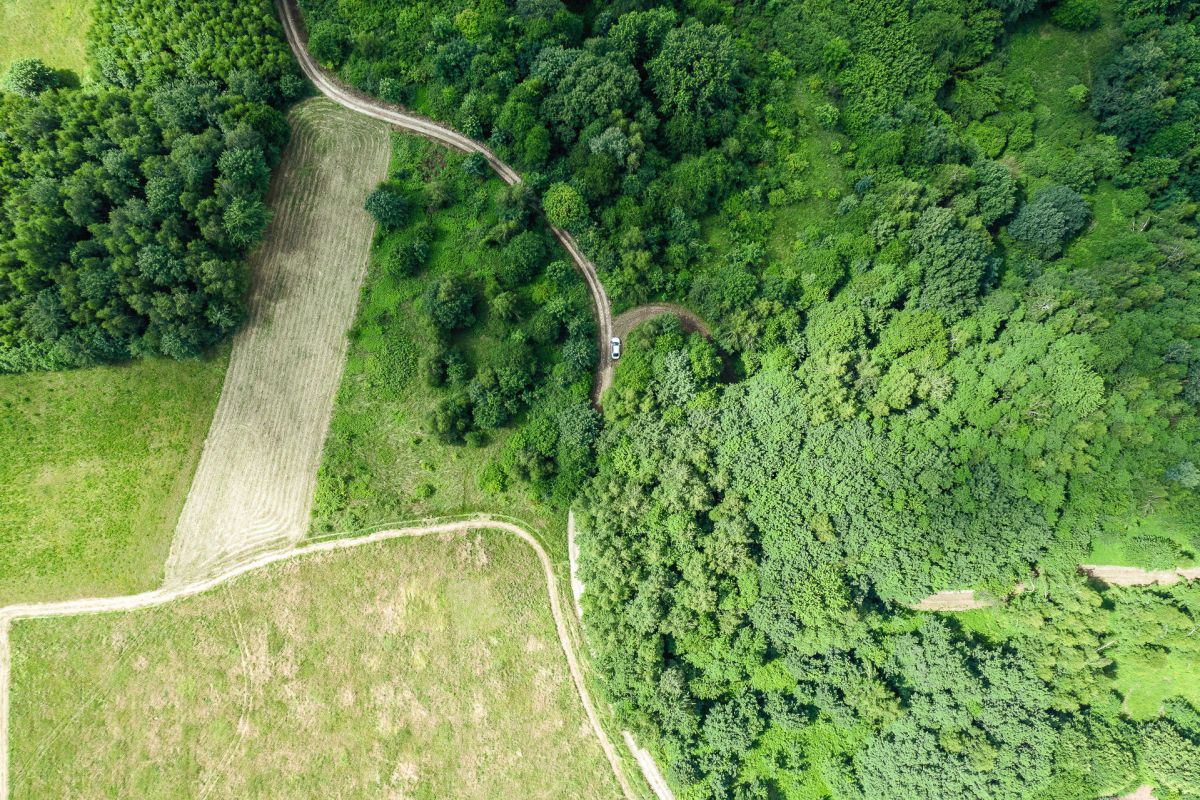 20 km od Rzeszowa | 2, 61 ha |  Cicha okolica Straszydle - zdjęcie 2