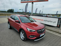 Opel Grandland X Lipówki - zdjęcie 2