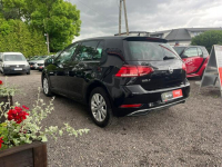 Volkswagen Golf Janów Lubelski - zdjęcie 4