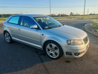 AUDI A3 8P 2005 1.6 MPI, 3d, Manual, Sprawne Lidzbark - zdjęcie 2
