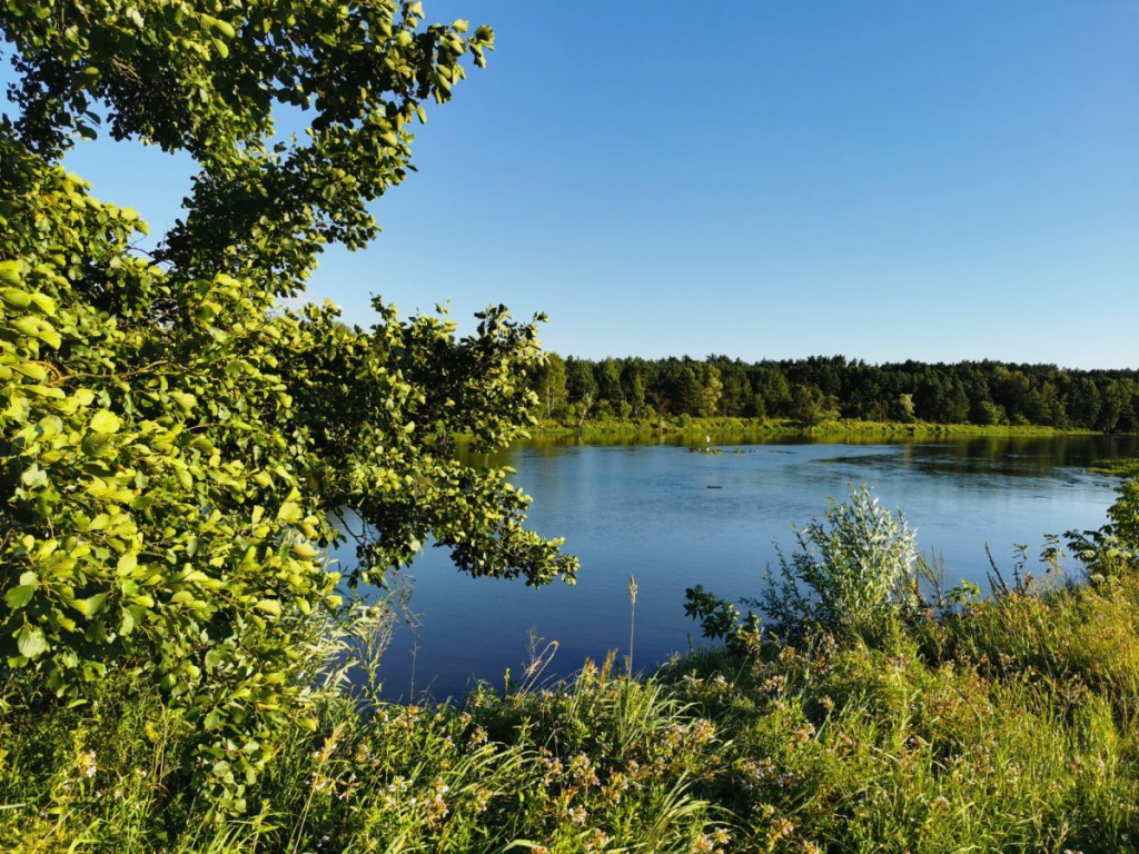 MALOWNICZA DZIAŁKA NAD BUGIEM Anusin - zdjęcie 2