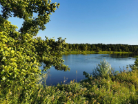 MALOWNICZA DZIAŁKA NAD BUGIEM Anusin - zdjęcie 2