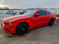 Ford Mustang / 3.7 305KM / Bogate wyposażenie / Niski przebieg /