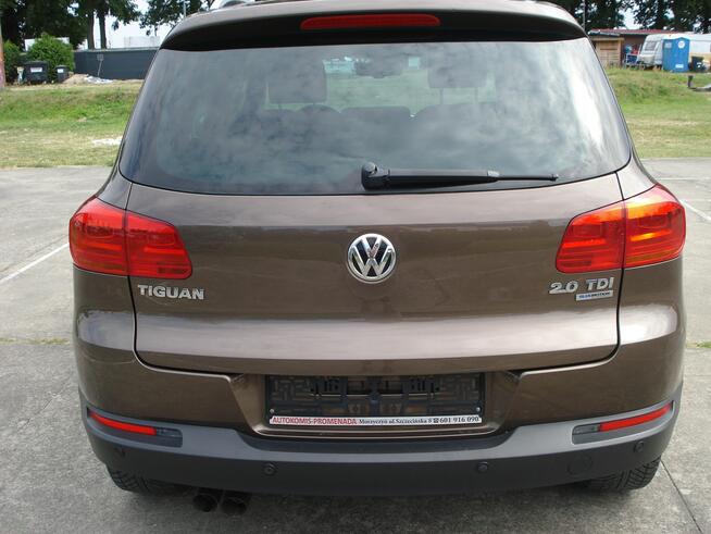 Volkswagen Tiguan Serwis ASO.Stan idealny. Morzyczyn - zdjęcie 6