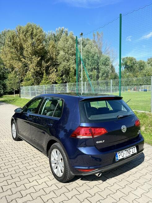 Volkswagen Golf 1.6 TDI świetny stan, brak wkładu Poznań - zdjęcie 9