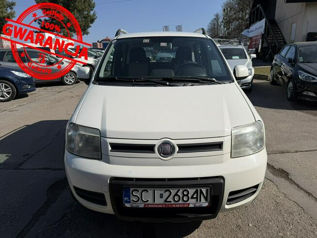 Fiat Panda 4X4, Klimatyzacja, Elektryczne szyby, Elektryczne lusterka Cieszyn - zdjęcie 3