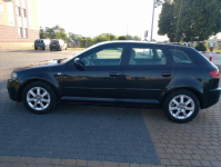 Audi A3 2.0FSI, 2005, I właściciel w PL, nowy rozrząd Lublin - zdjęcie 10