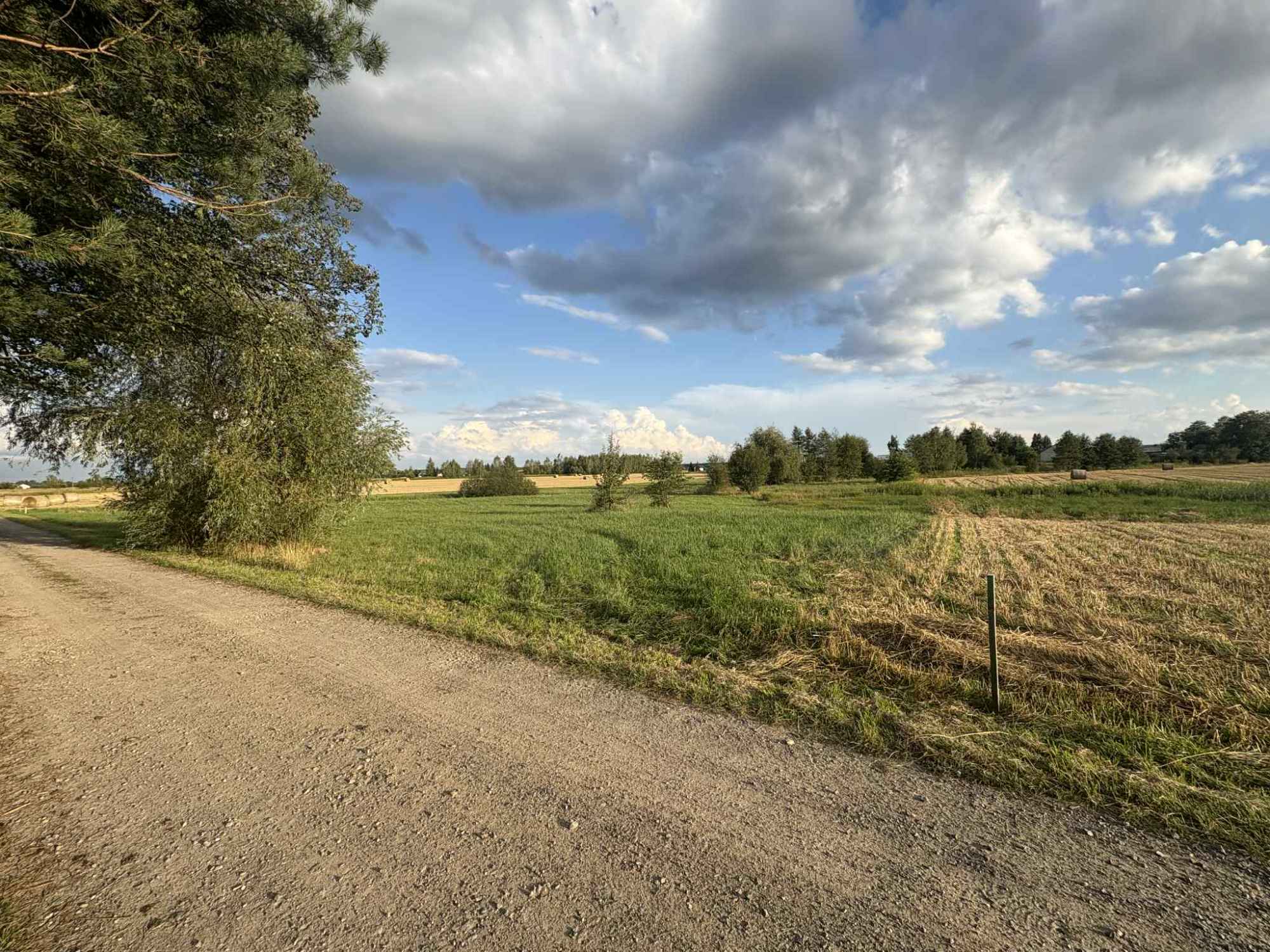 Sprzedam działkę Kozłówka - zdjęcie 4