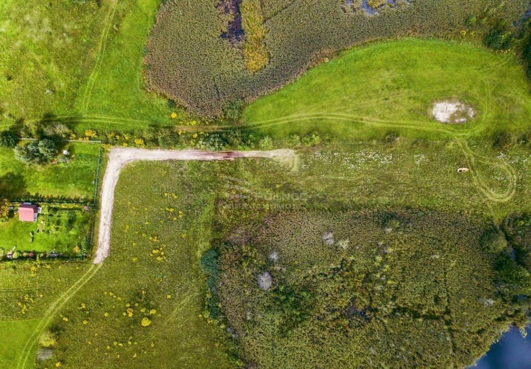 Działka z linią brzegową jeziora Płociczno - zdjęcie 2