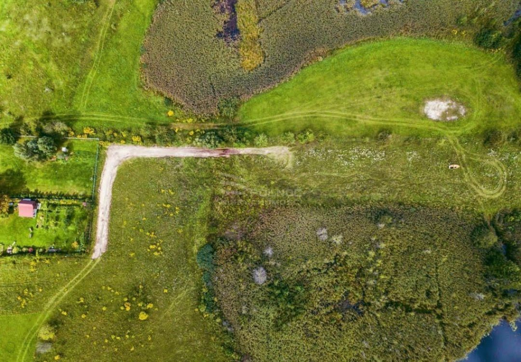 Działka z linią brzegową jeziora Płociczno - zdjęcie 2