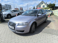 Audi A3 1.6i 16V 116KM Klimatronic Navi Łuków - zdjęcie 10