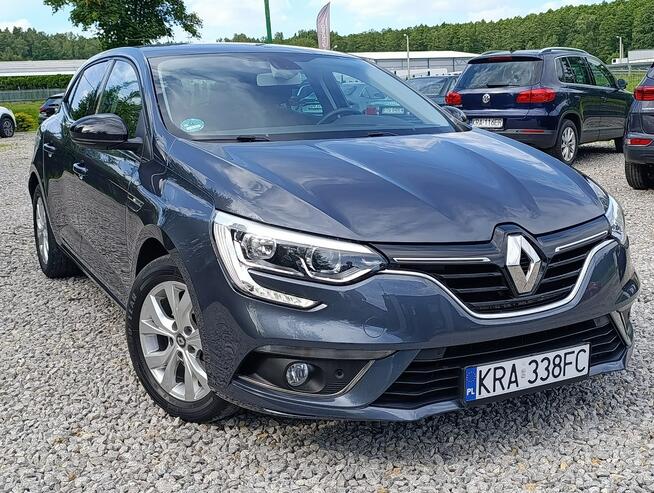 Renault Megane 1,3 Kamera, Nawigacja ,Serwis ,bdb stan Dulowa - zdjęcie 12