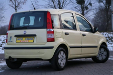 Fiat Panda zarejestrowany Opole - zdjęcie 3
