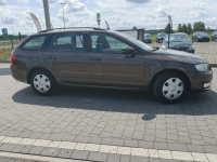 Škoda Octavia Lipówki - zdjęcie 8