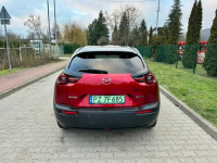 Mazda MX-30 Electric Suchy Las - zdjęcie 7