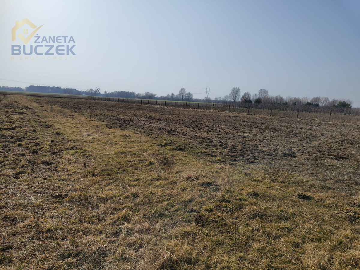 Sprzedam działki z WZ w Skarbikowie Skarbikowo - zdjęcie 4