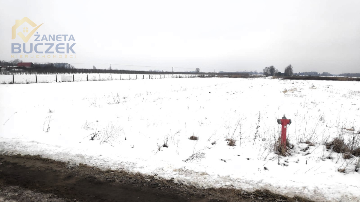 Sprzedam działki z WZ w Skarbikowie Skarbikowo - zdjęcie 2