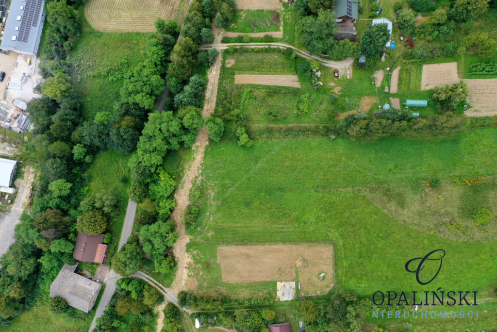 Działka budowlana 21ar z warunkami zabudowy na dom Błędowa Tyczyńska - zdjęcie 9