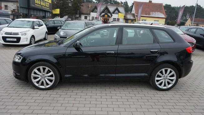 Audi A3 z Niemiec. Gwarancja. Polecam !!! Zielona Góra - zdjęcie 10