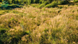 Działka budowlana 1302 m² z pozwoleniem na budowę Rusko - zdjęcie 3