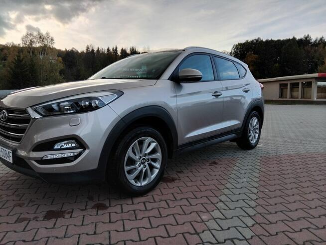 HYUNDAI Rzeszów - zdjęcie 8