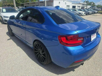 BMW Seria 2 (Wszystkie) N55 / xDrive / M-Pakiet / Tarnów - zdjęcie 3