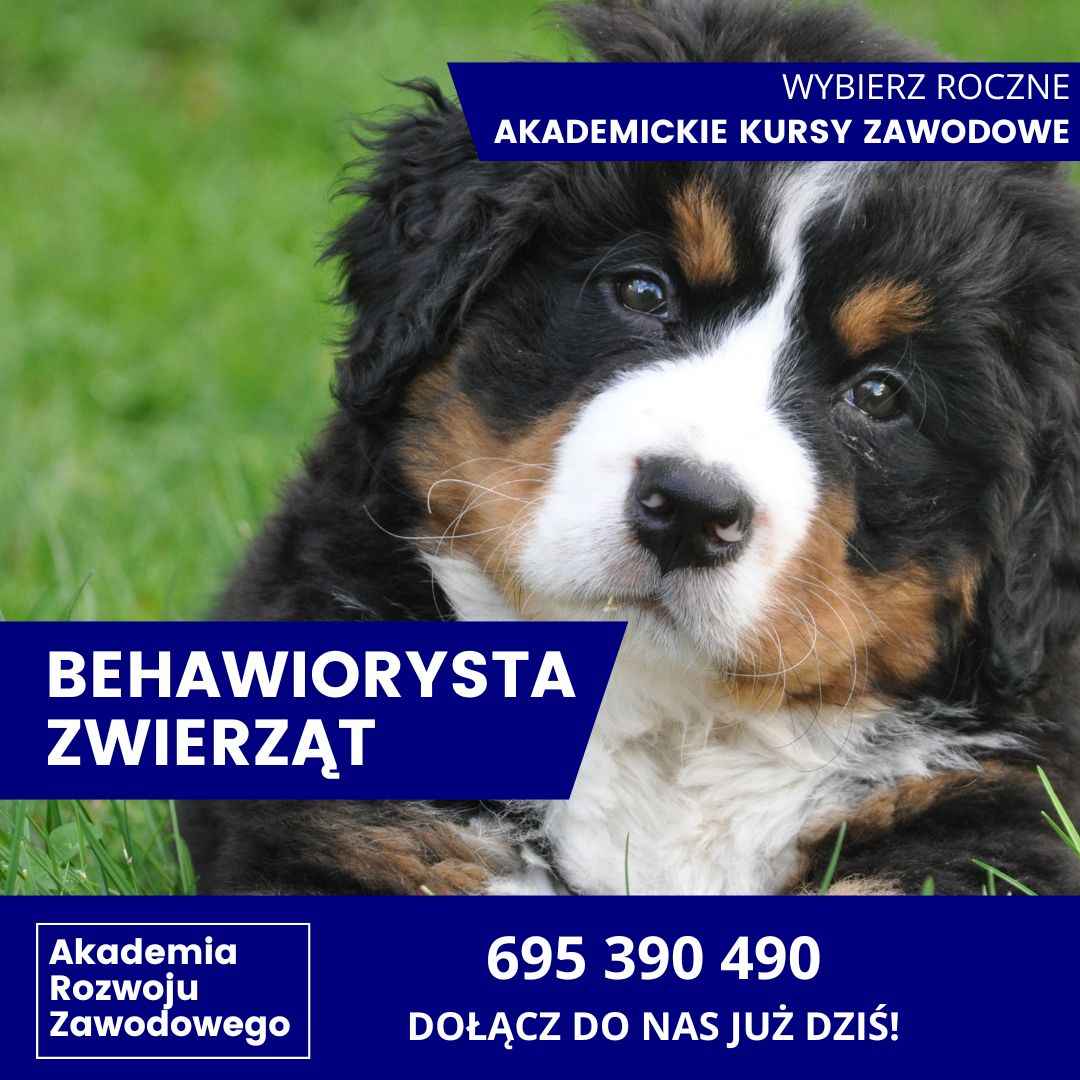 Behawiorysta Zwierząt- Akademicki Kurs Zawodowy Radom - zdjęcie 7