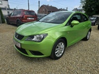 Seat Ibiza 1.4 86Koni.121Tyś km.Nietuzinkowy Kolor. Sosnowiec - zdjęcie 3