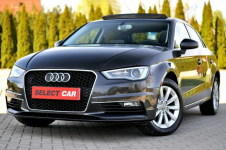Audi A3 Xenon Ledy Alcantara Grzana Navi Panorama Dach Full Opcja Płock - zdjęcie 12
