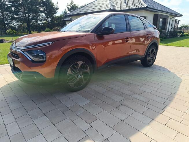 Bardzo ładny Super kolor Góra - zdjęcie 10