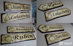 NAPIS NA DESCE grafika logo szyld baner restauracja domek Roczyny - zdjęcie 9