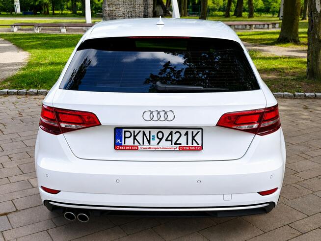 Audi A3 Sadlno - zdjęcie 7