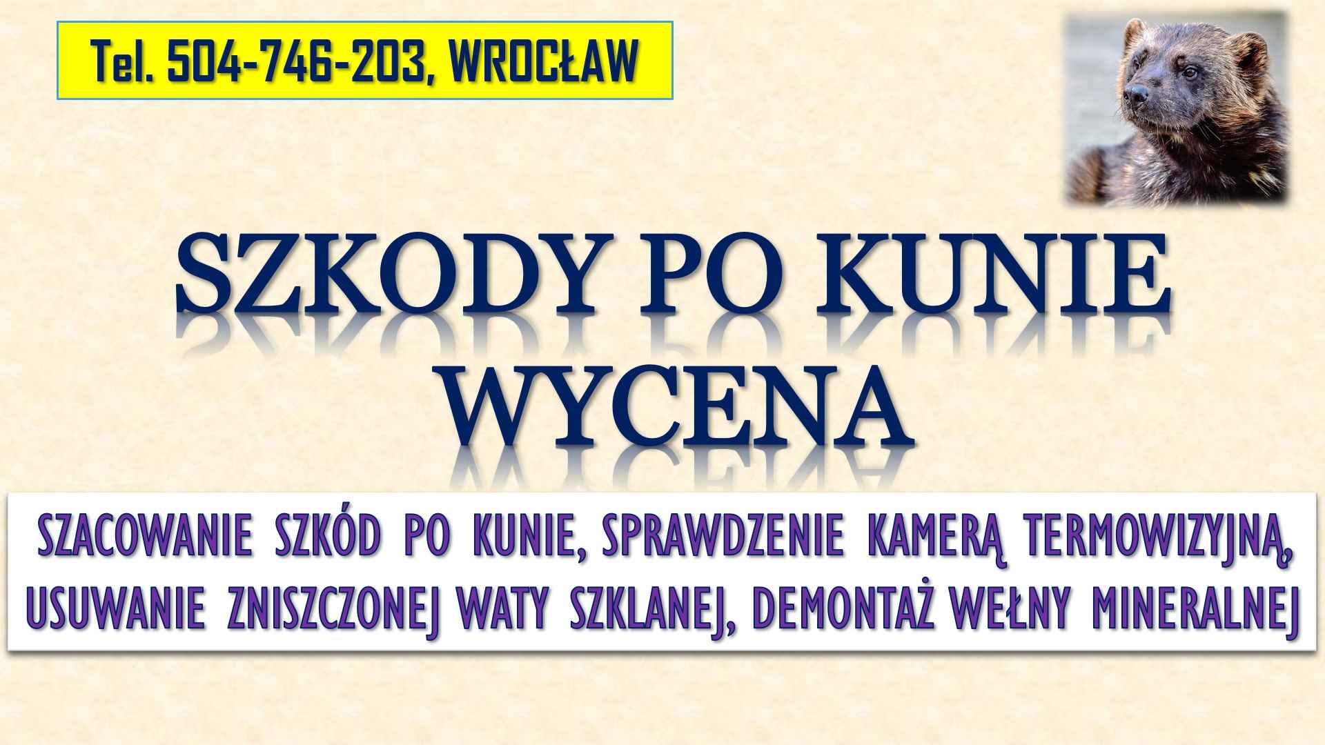 Szacowanie szkód po kunie, tel. 504-746-203, Wrocław. Wycena szkody, Psie Pole - zdjęcie 2