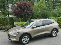 Ford Kuga 1.5 EcoBlue 120KM Titanium / Salon PL I-właściciel Skępe - zdjęcie 12