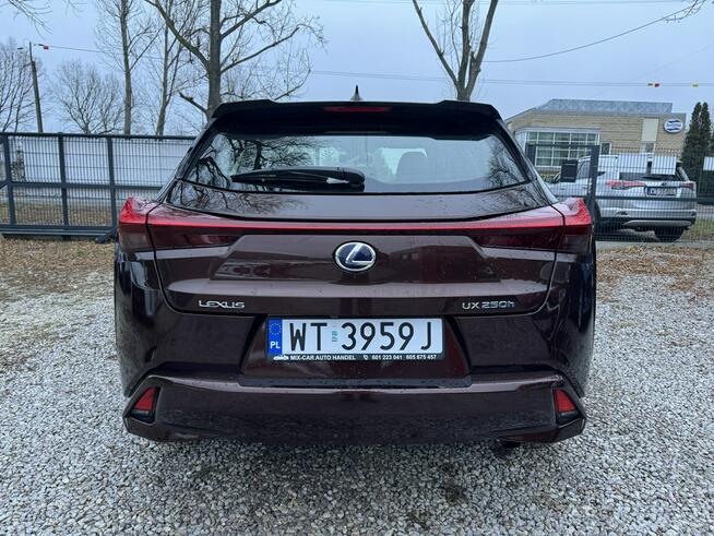 Lexus UX 250H 43 tyś km Ast. Pasa Distronic kamera Super Otwock Mały - zdjęcie 6