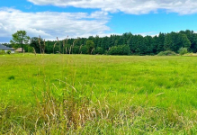 Idealna działka 1240m2 Olmonty Olmonty - zdjęcie 4