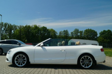 Audi A5 CABRIO 2,0 TFSI 224 KM   AUTOMAT QUATTRO SKÓRA KSENON Goczałkowice-Zdrój - zdjęcie 4
