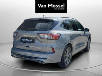 Ford Kuga Sadlno - zdjęcie 6