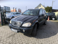 Mercedes ML 270 2.7 CDi 163KM 4x4 Automat Skóra Łuków - zdjęcie 10
