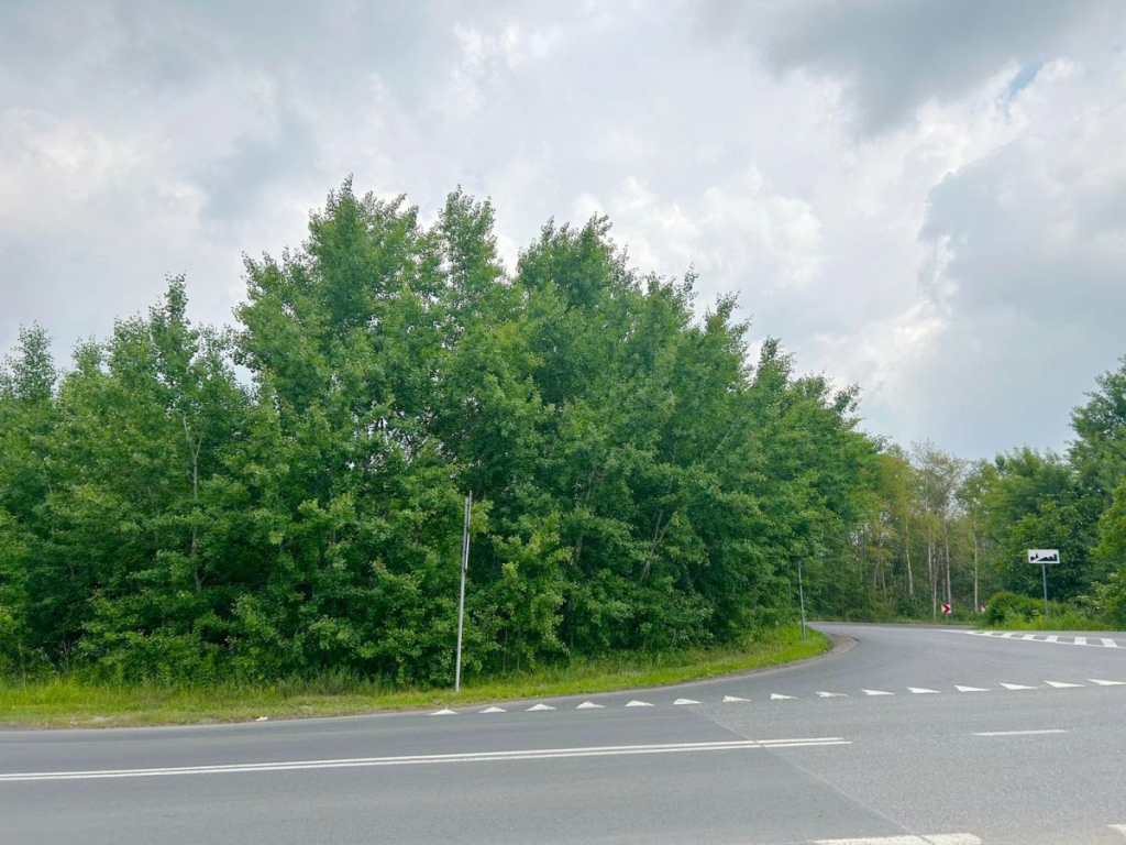 Działka pod Halę, mpzp – świetna lokalizacja! Poznań - zdjęcie 8