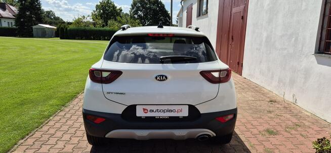 Kia Stonic AUTOMAT-KAMERA-LED-MEDIA Paproć - zdjęcie 6
