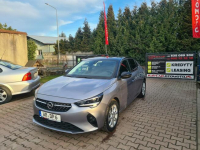 Opel Corsa 1.2 benzyna / Niski Przebieg / Full Opcja / Jak Nowa / Świebodzin - zdjęcie 2