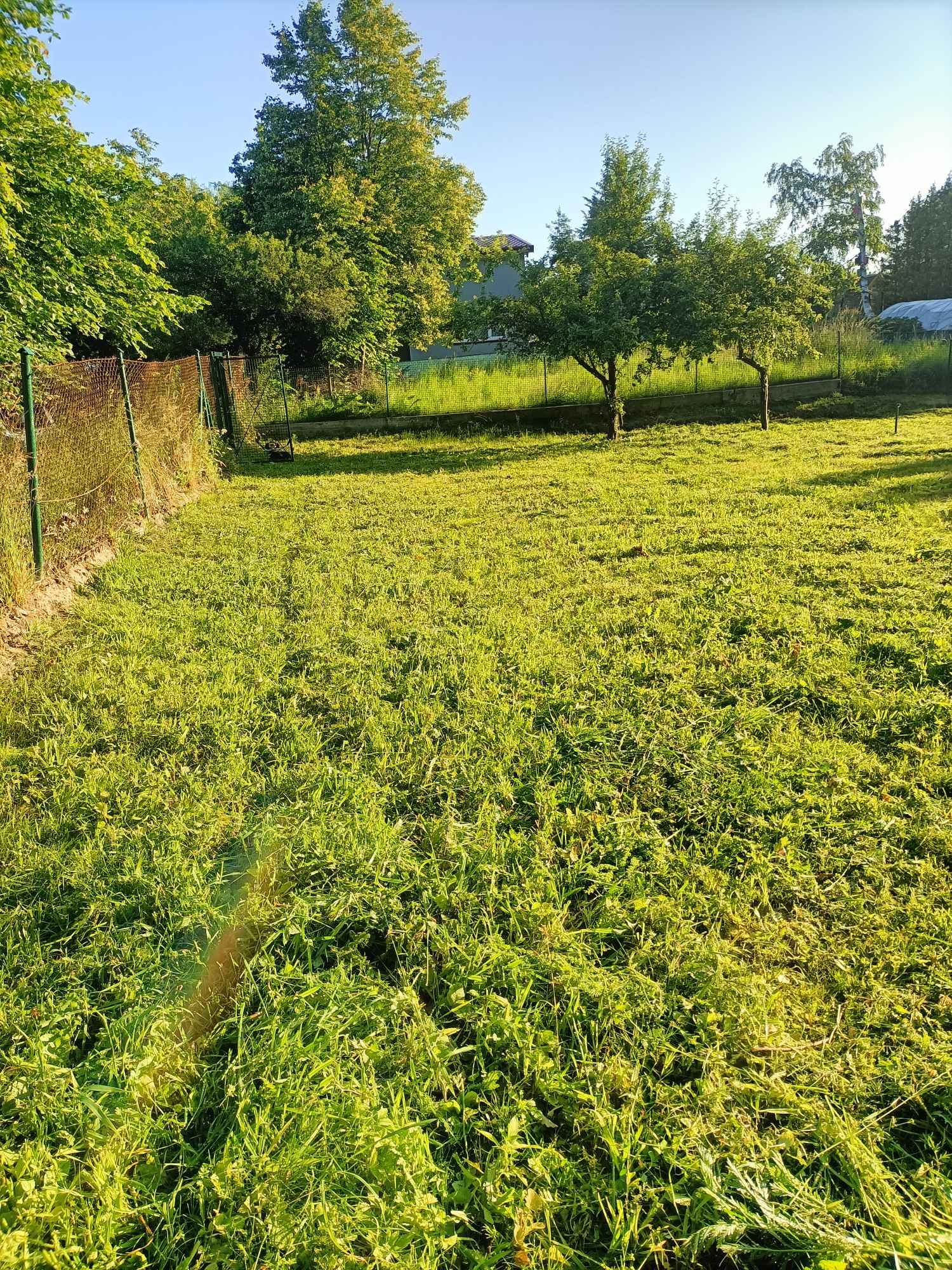 Działka rod przylesie złota karczma Gdańsk - zdjęcie 3