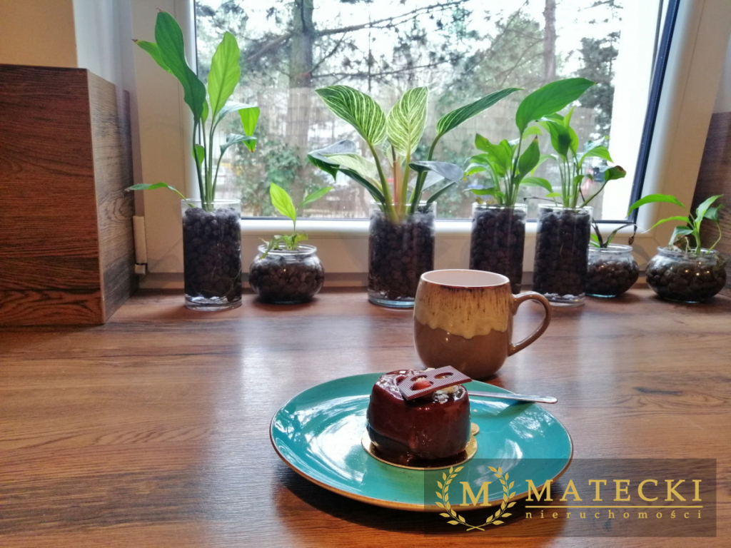 Nowoczesne 2-pokojowe mieszkanie z dużym ogródkiem Poznań - zdjęcie 1