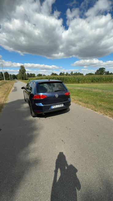 Volkswagen golf 7 Odolanów - zdjęcie 5