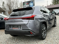 Lexus UX 250 Hybrid    Ful LED Premium Łodygowice - zdjęcie 5
