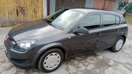 Opel Astra III (H), hatchback 5 drzwi, 1,6 ECOTEC 115 KM Ełk - zdjęcie 6