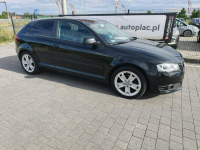 Audi A3 jak nowy Lipówki - zdjęcie 5