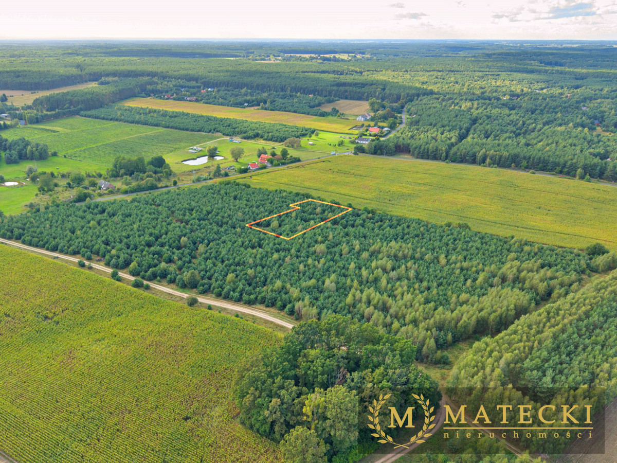 Wyjątkowa, duża działka z drzewami Karczewko - zdjęcie 6